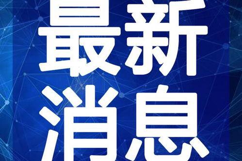 深圳小胡爆料最新视频,揭秘视频背后的惊人真相！